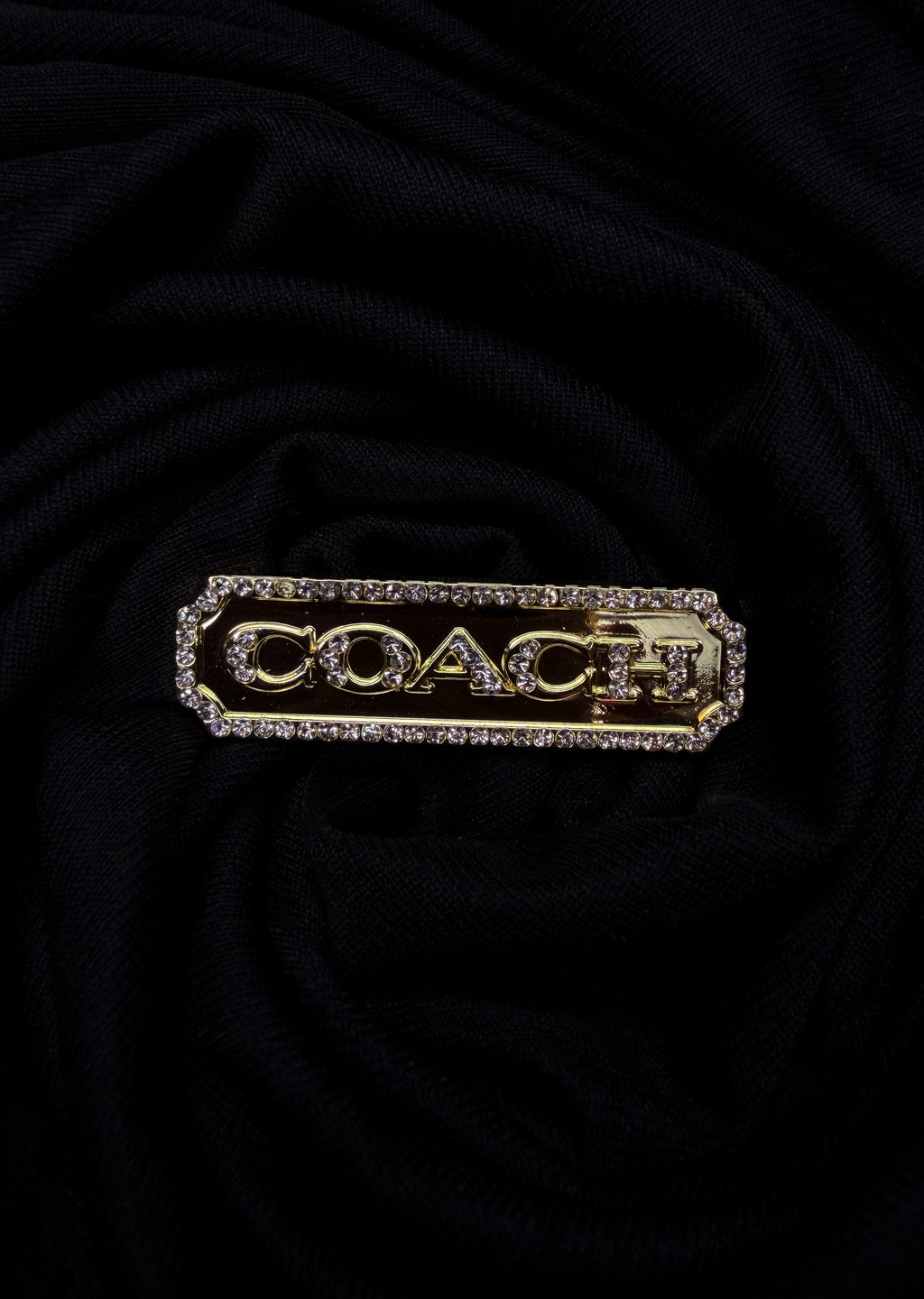 Coach Brooch