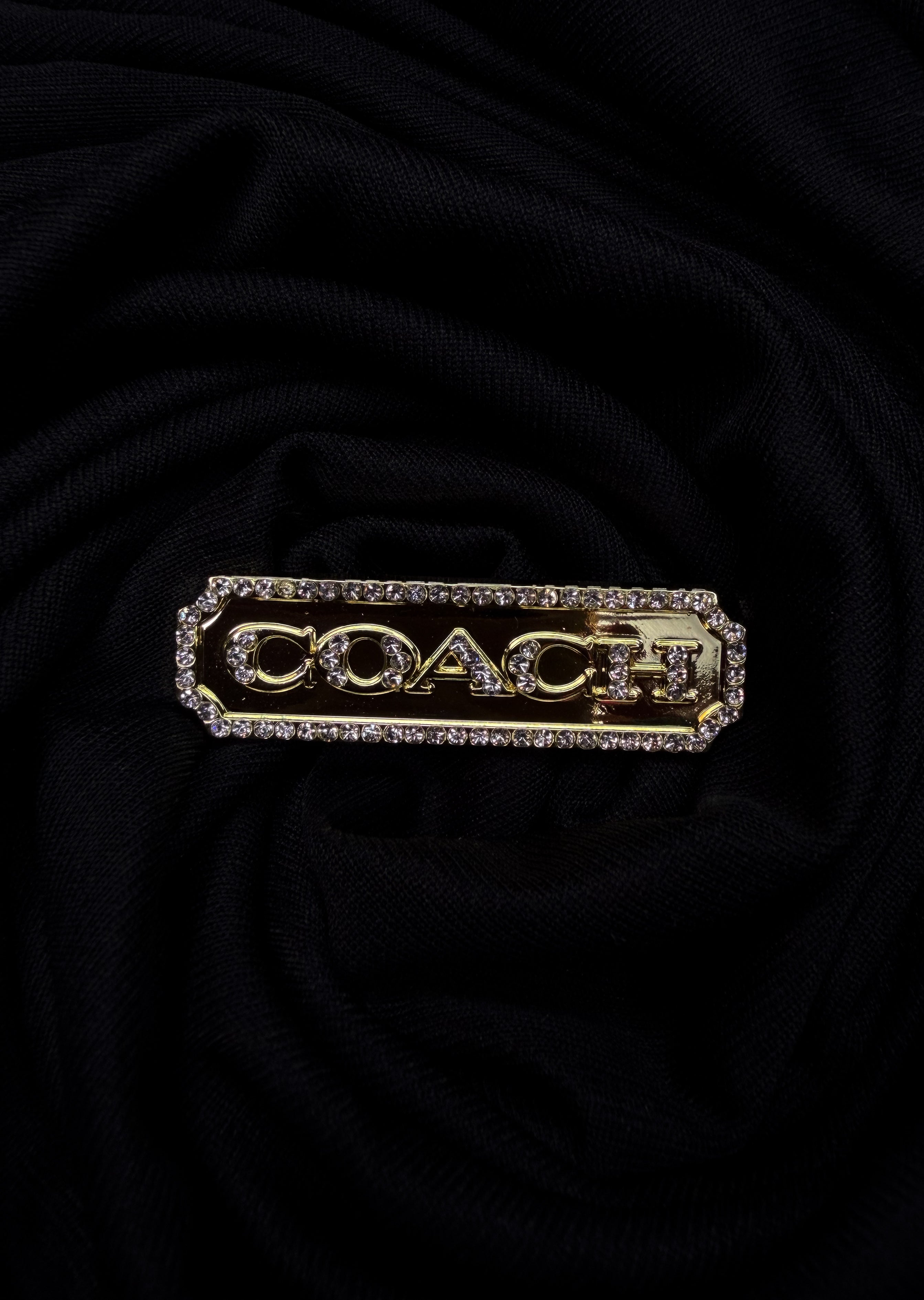 Coach Brooch